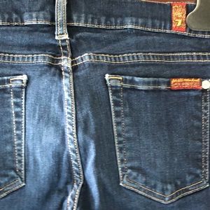 7 for all mankind THE SKINNY